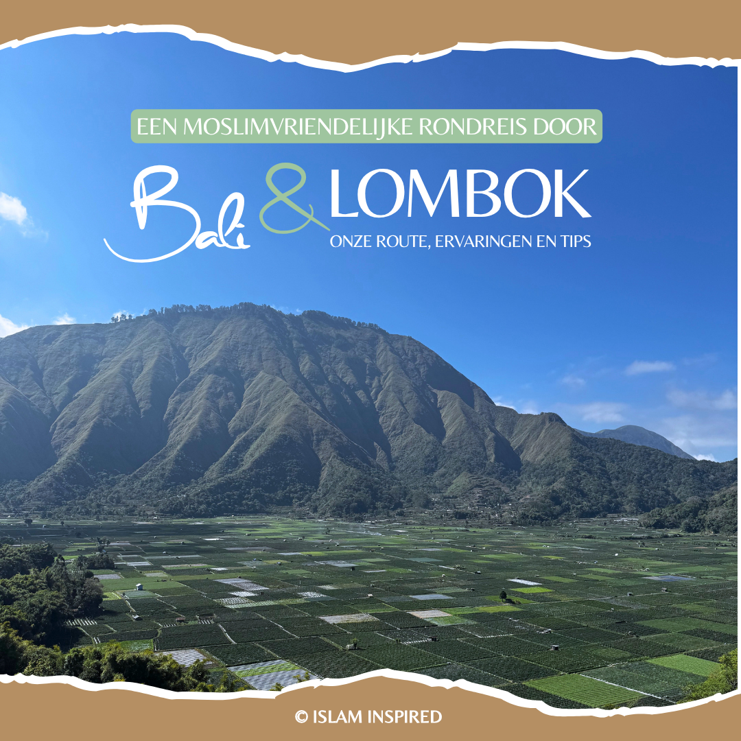Bali & Lombok e-book